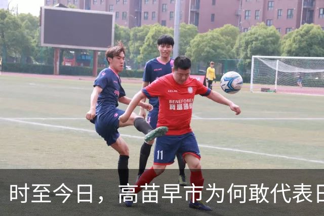时至今日，高苗早市为何敢代表日本这样嚣张挑衅中国？