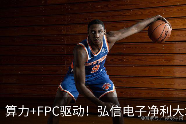 算力+FPC驱动！弘信电子净利大增139%，股价较年内高点回撤超40%